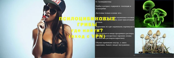 а пвп мука Дмитриев