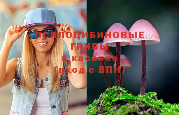 а пвп мука Дмитриев